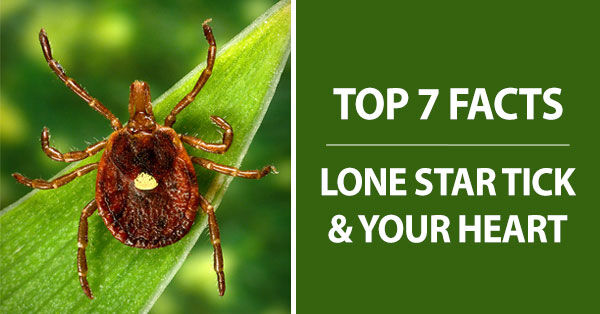 Lone Star Tick, Alpha-Gal Syndrom &amp; Heart Valve Replacements