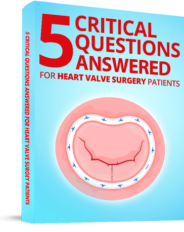 Critical Questions eBook