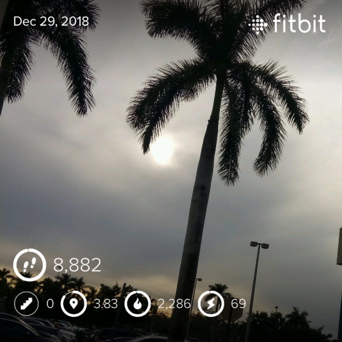I wear my Fitbit daily but haven't hit goal too often. My surgery was just over two months ago.