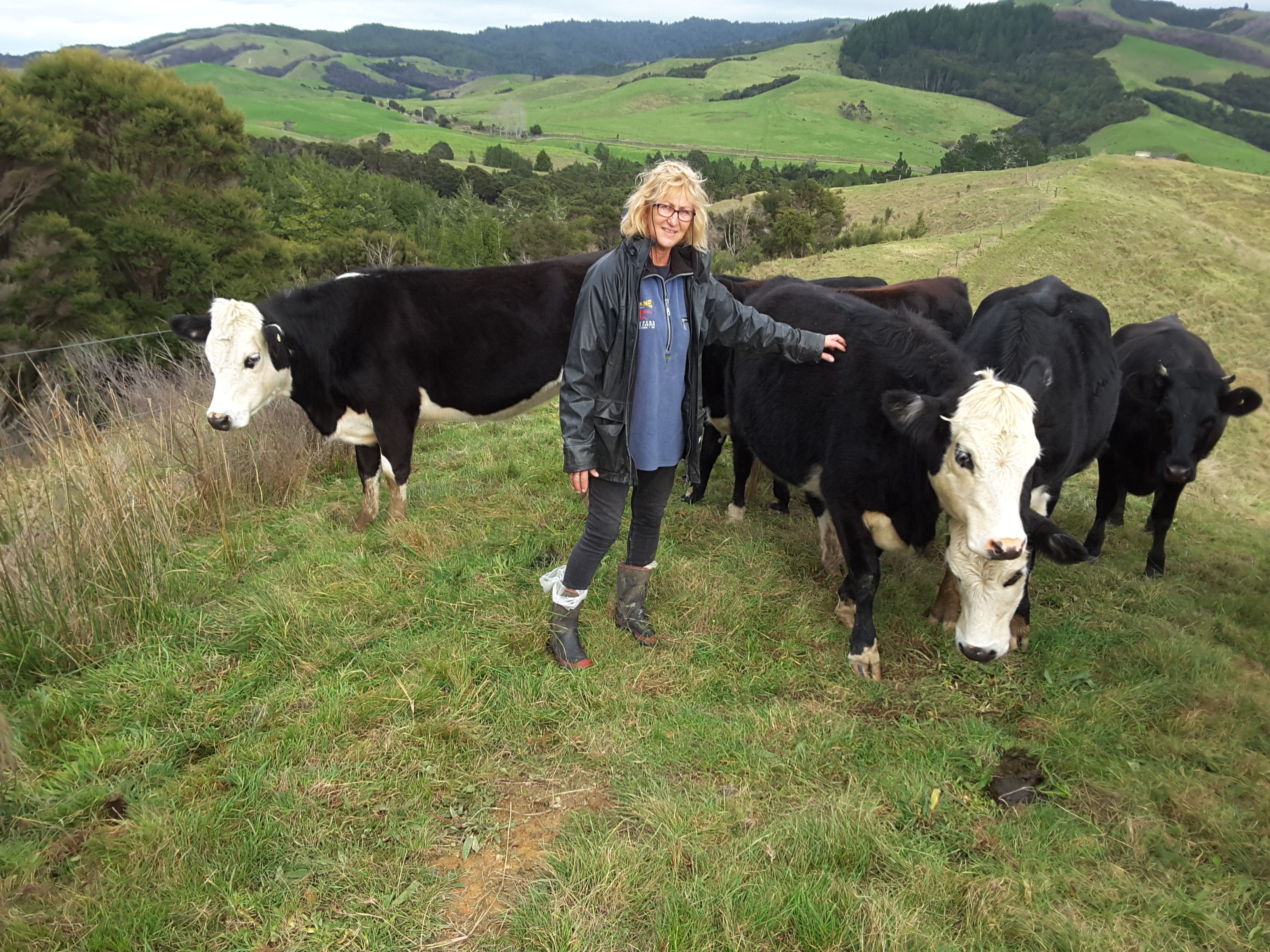 Out on the farm checking the stock.