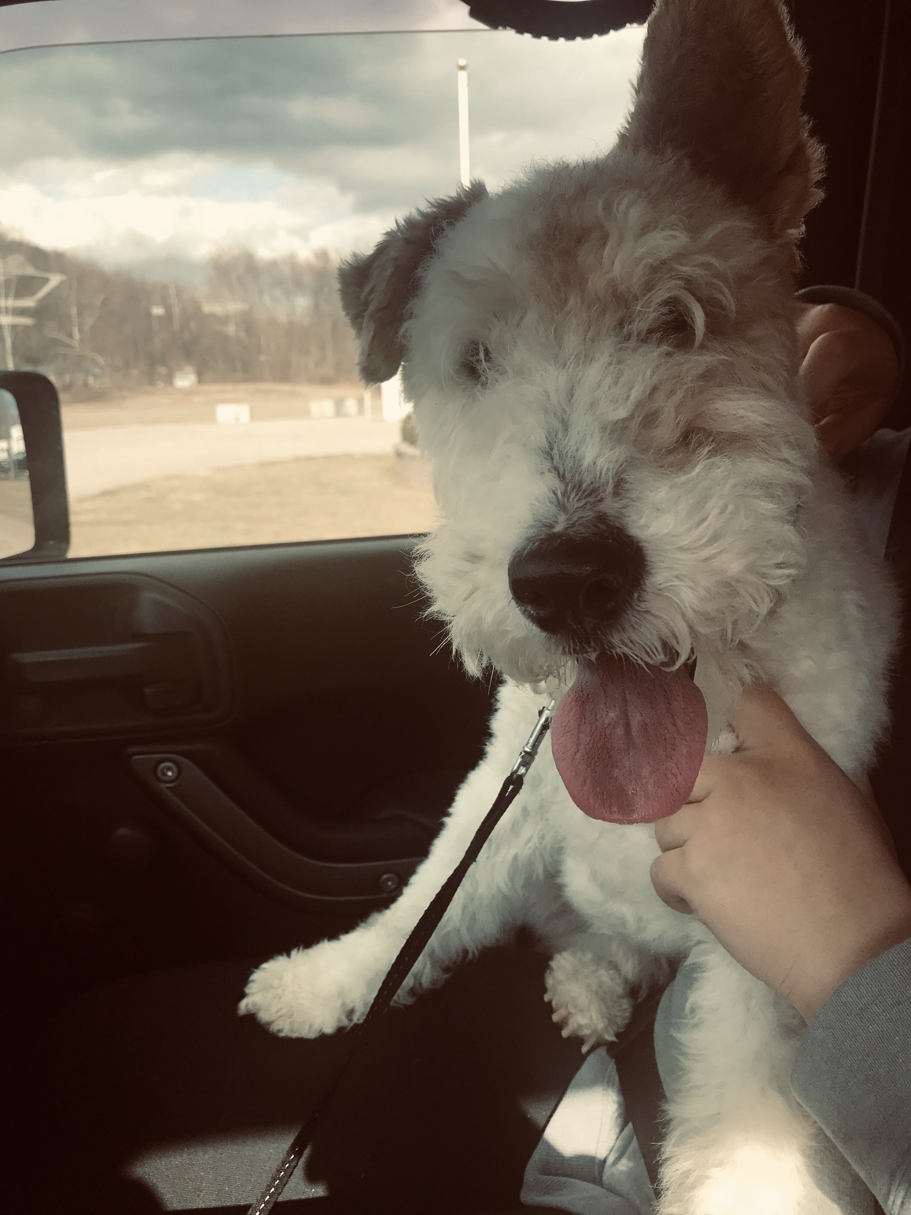 After almost two weeks at the kennel, ole Charlie Hustle was happy to see me.