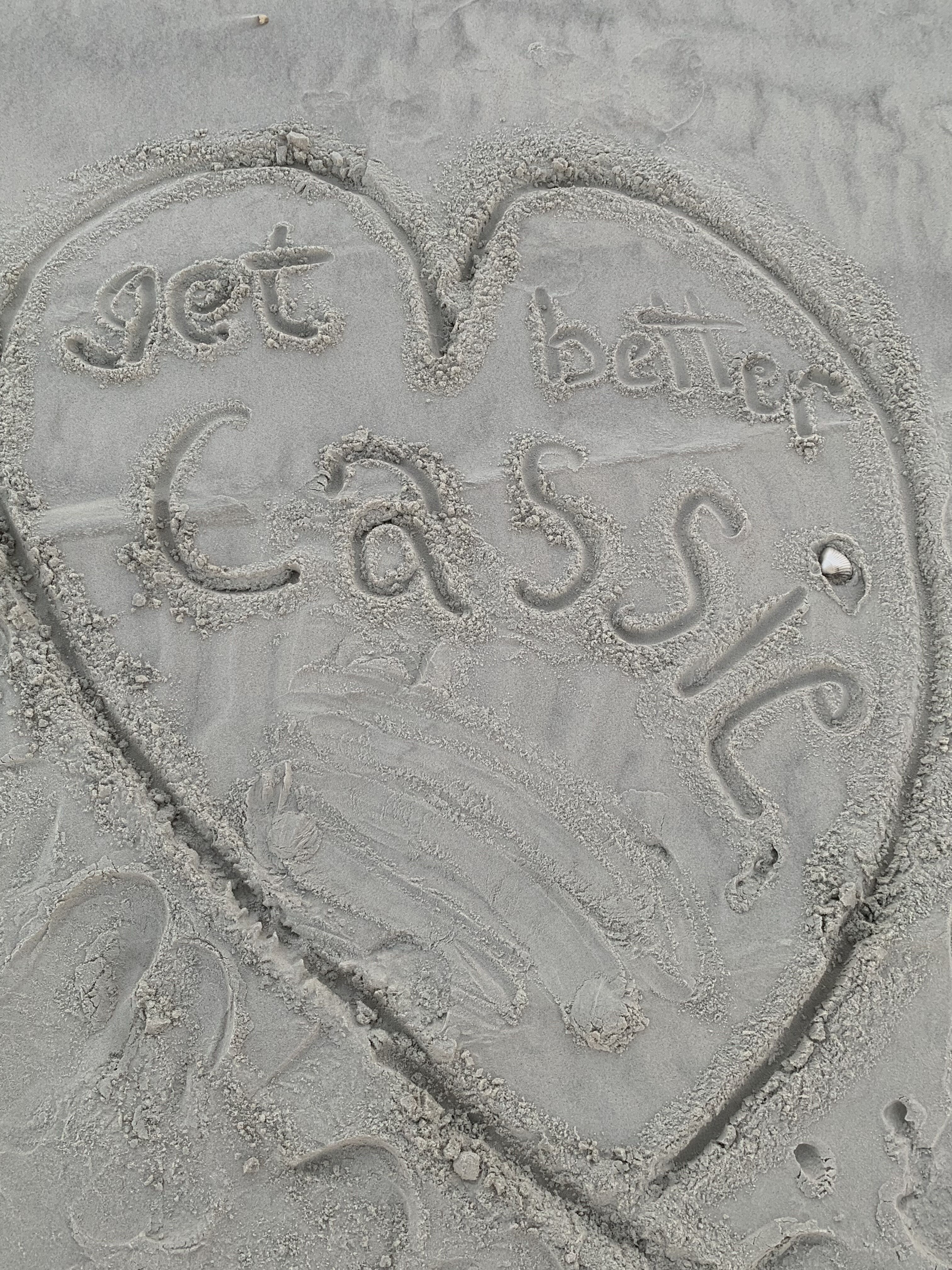 For Richard M and Cassie. Best buds.
You have made fast friends with the heart warriors.