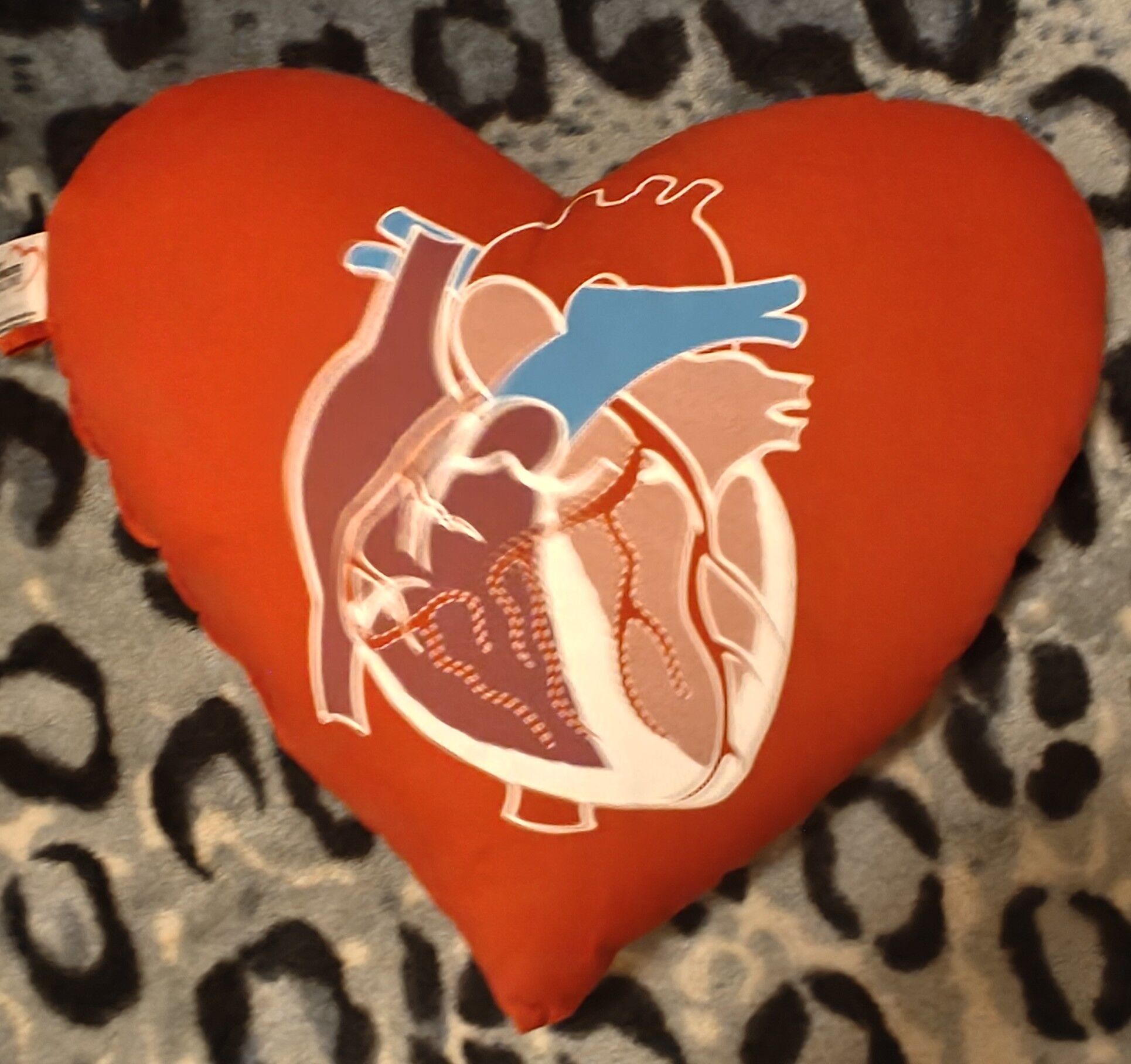 Asante Rogue Regional Medical Center cardiology unit. Danielle Jacks MD