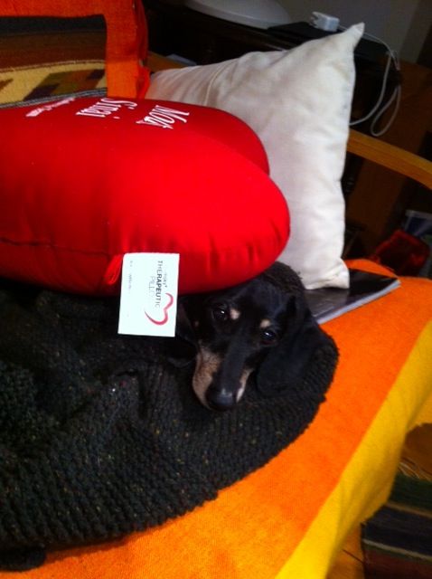 Who Stole the Heart Pillow?