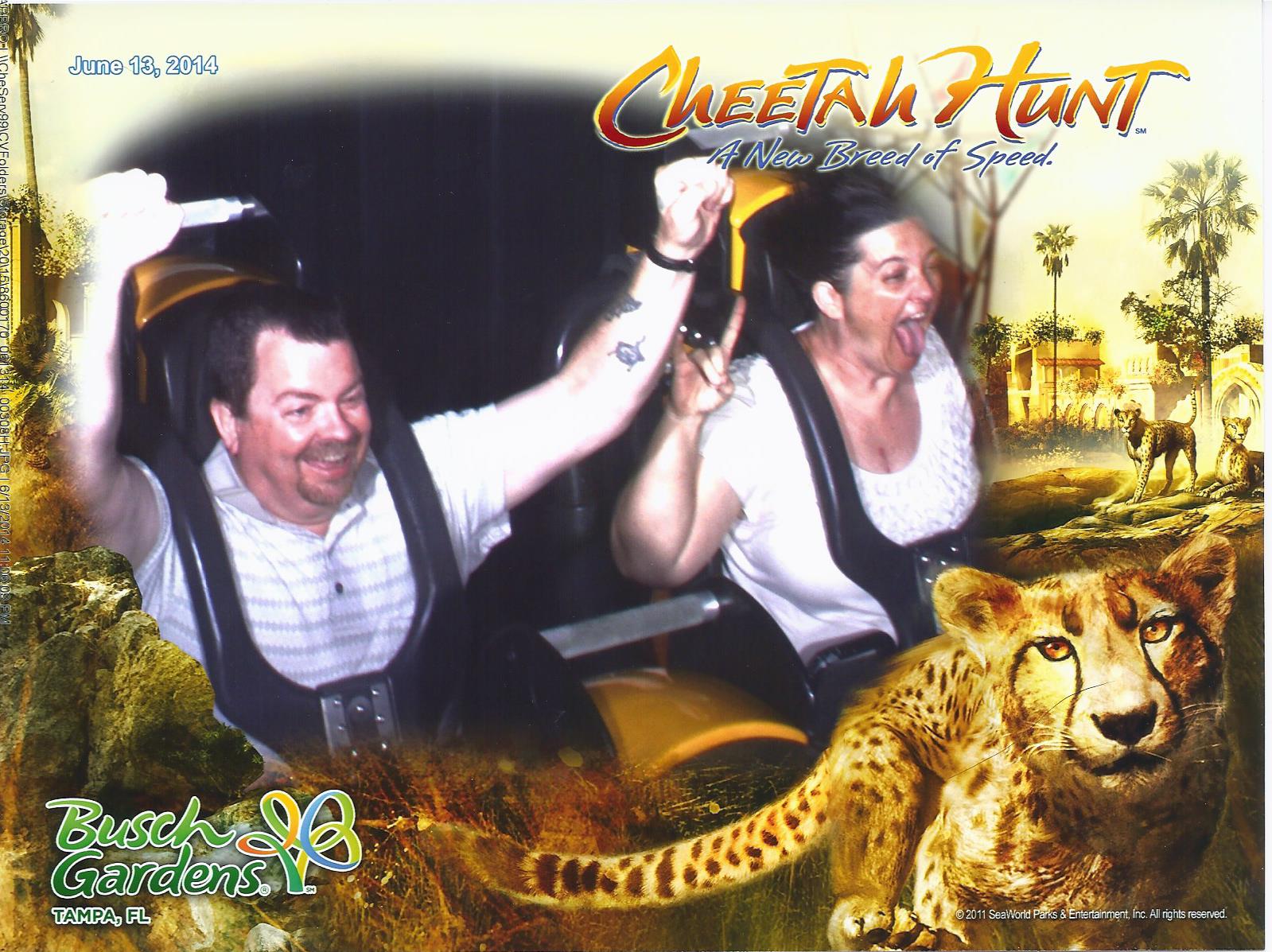 My triumphant return to rollercoasters!