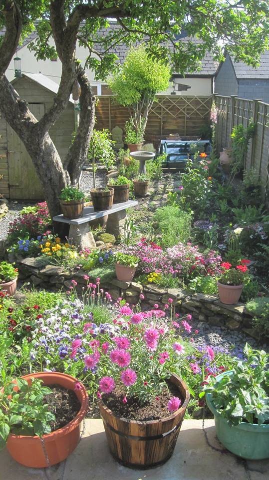 Our cottage garden