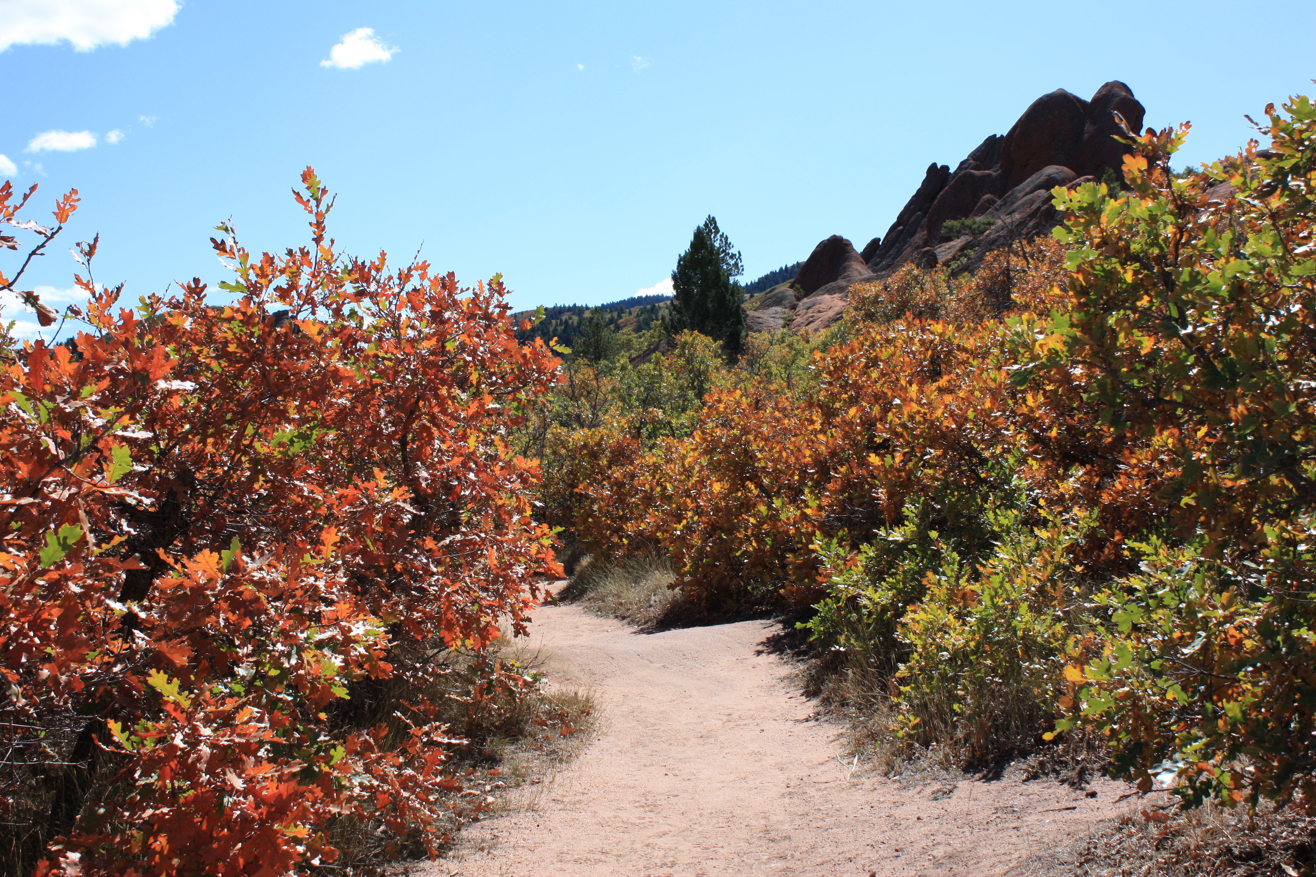 Roxborough state park, very near me, and a great place to walk.
