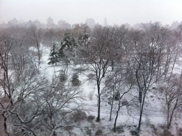 Beautiful day overlooking Central Park at Mt Sinai 7 West