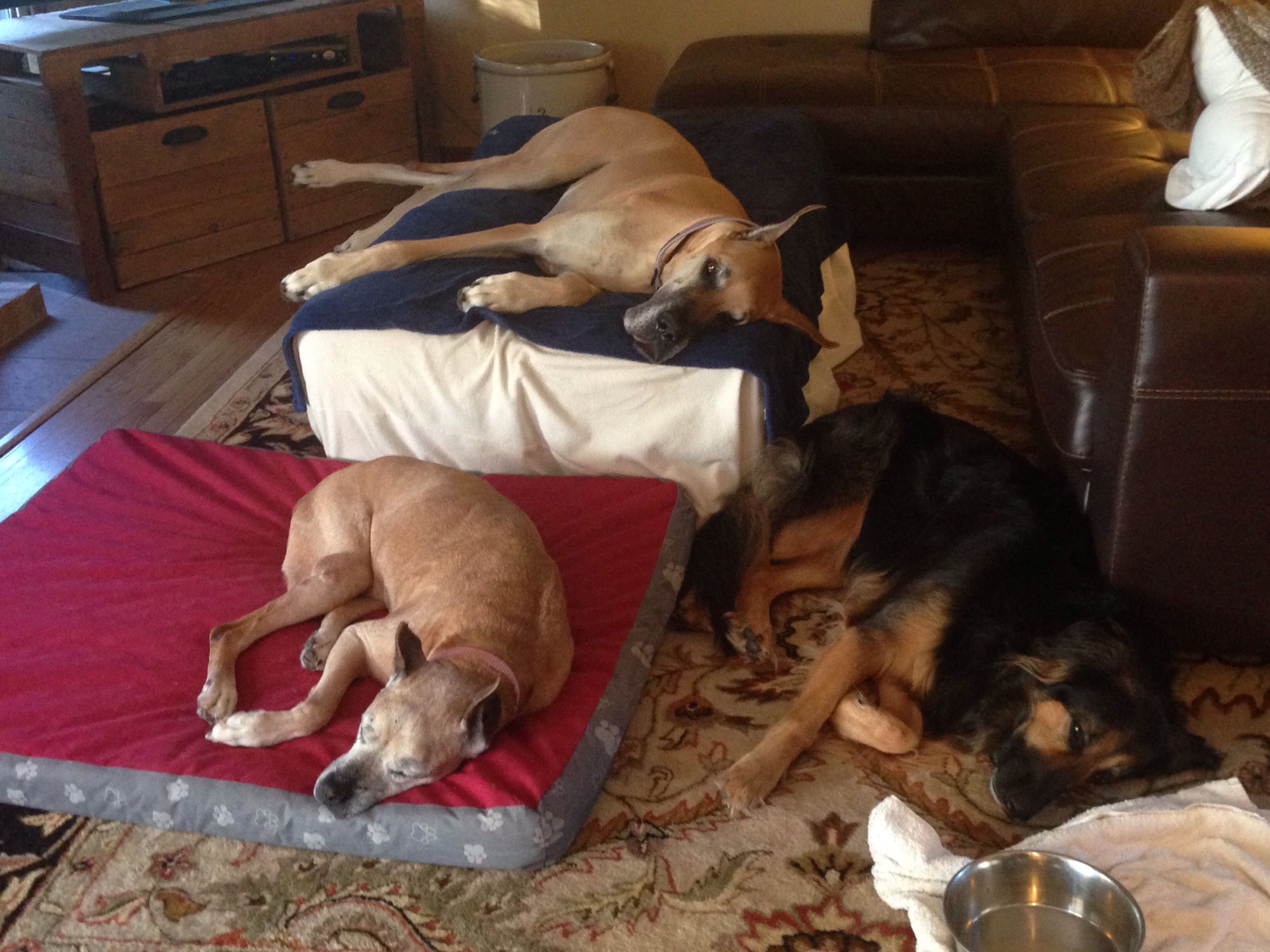My reasons for getting up every morning. <3