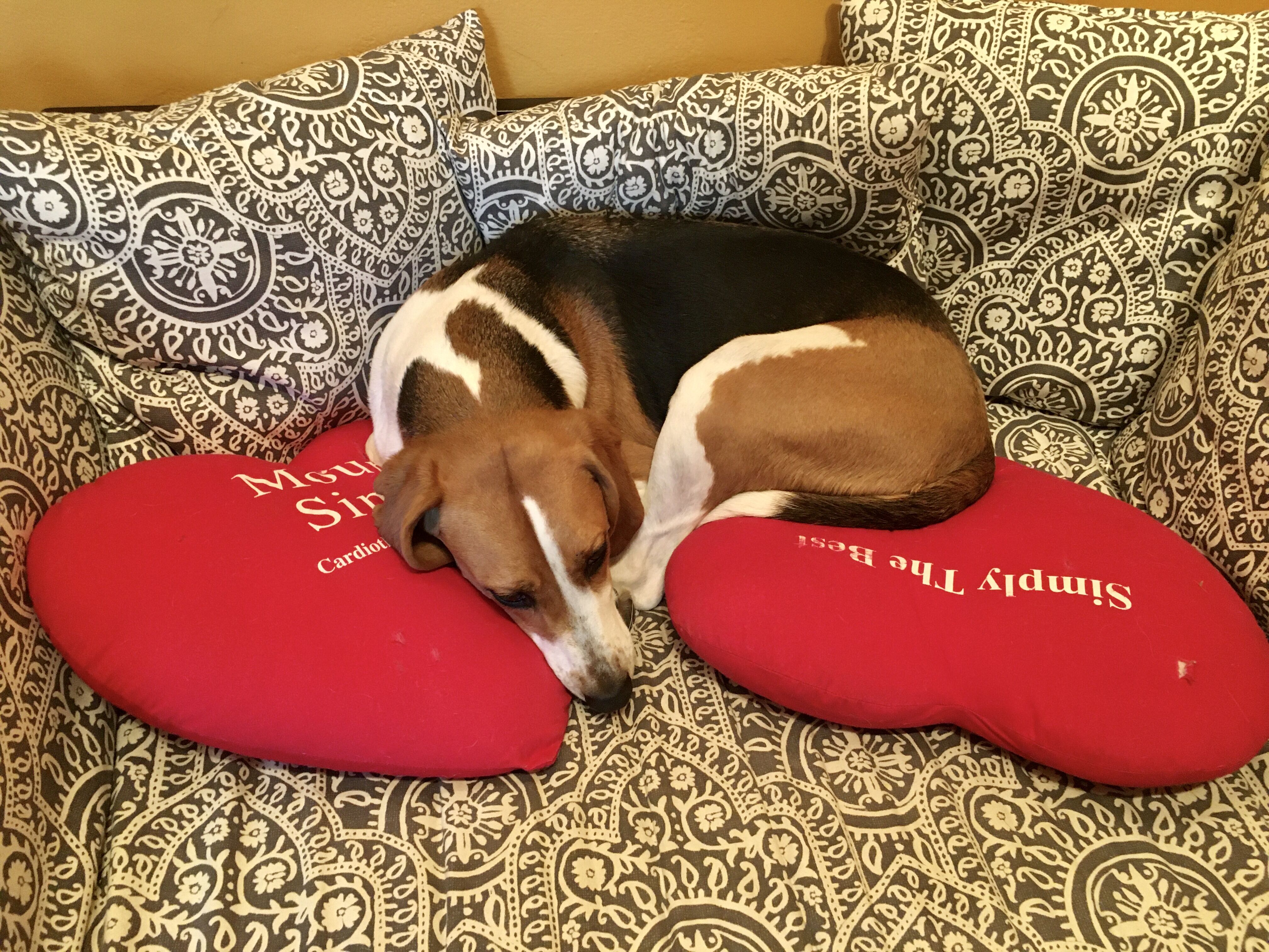 Happy Valentine's Day! Many years later, my heart pillows are still in use!