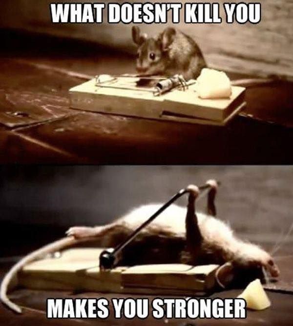 A year and a half ago I was THAT mouse !! Sometimes ya just gotta fight for it.