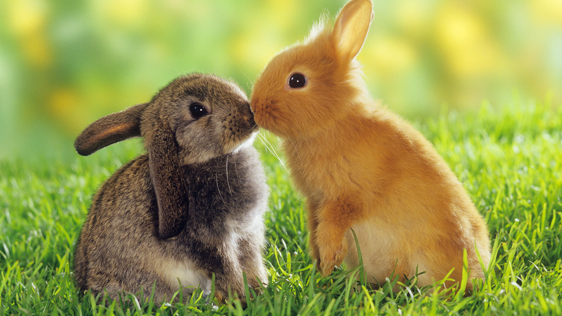 Happy Easter!