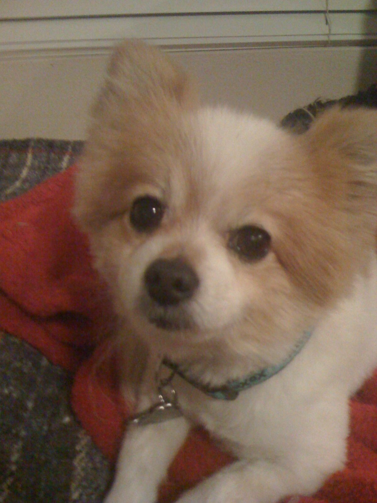 Cooper!