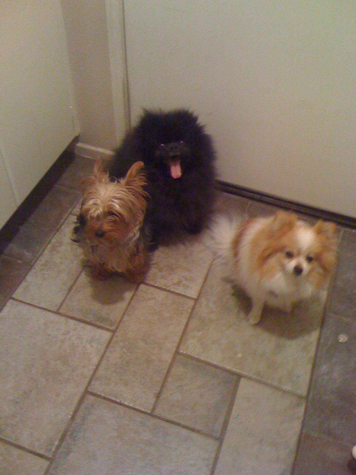 My family Gathering Off To Work!!!