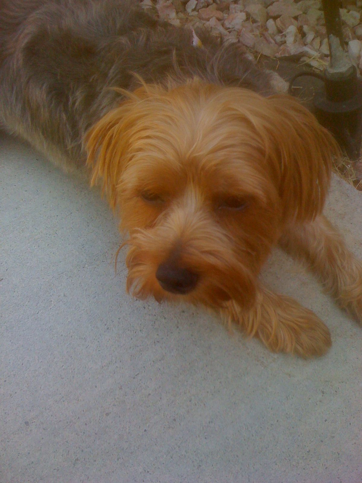 Bree!