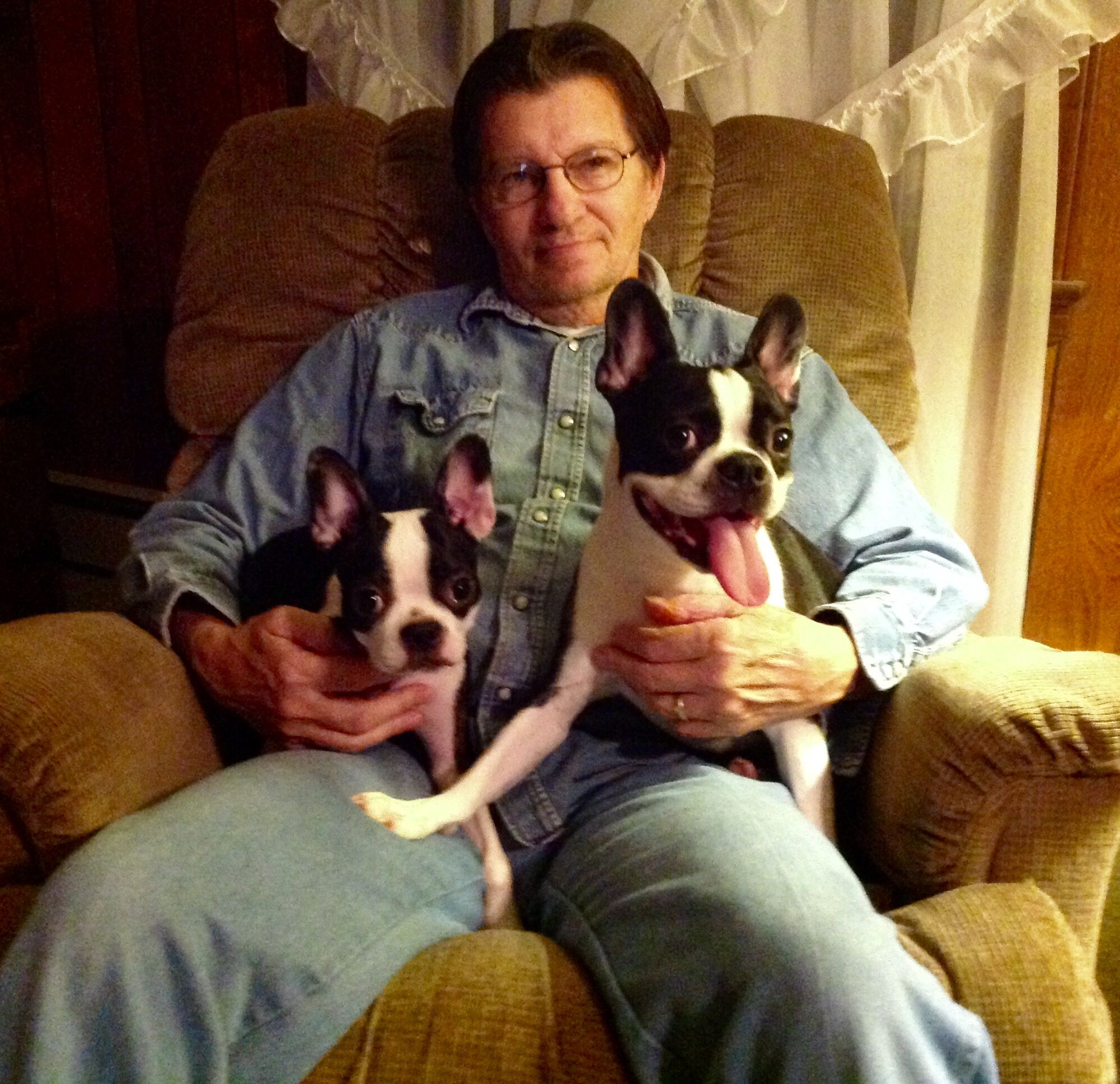 My husband Bill, and our two "babies". Boston Terriers Ralph and Alice (Allie).