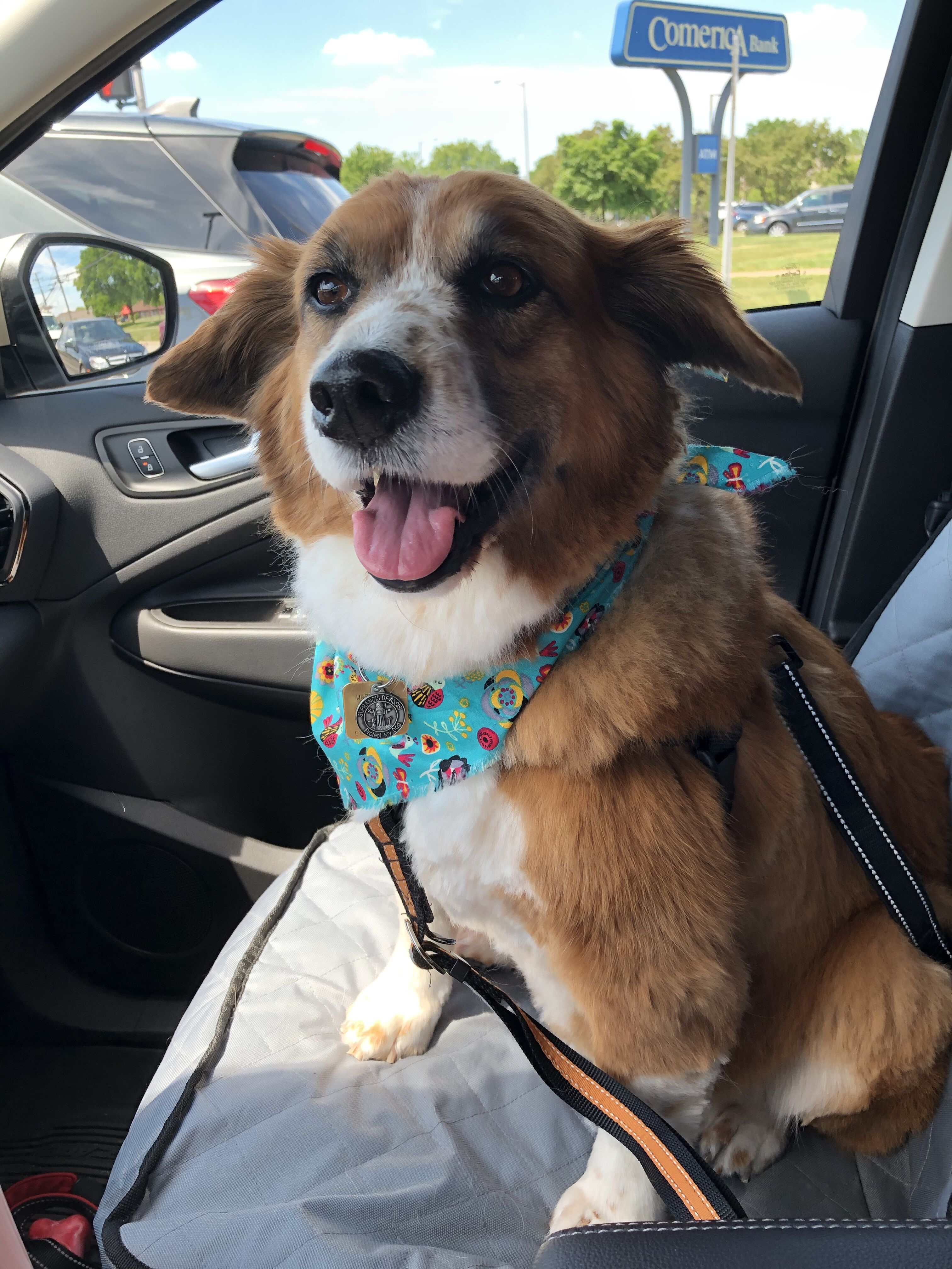 My buddy Lola!