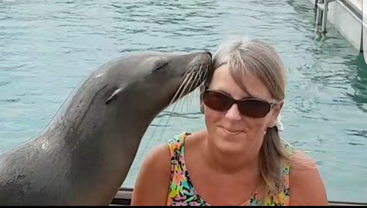 I did get to meet a sealion whilst away. Another dream to tick off my bucket list ðŸ˜Š