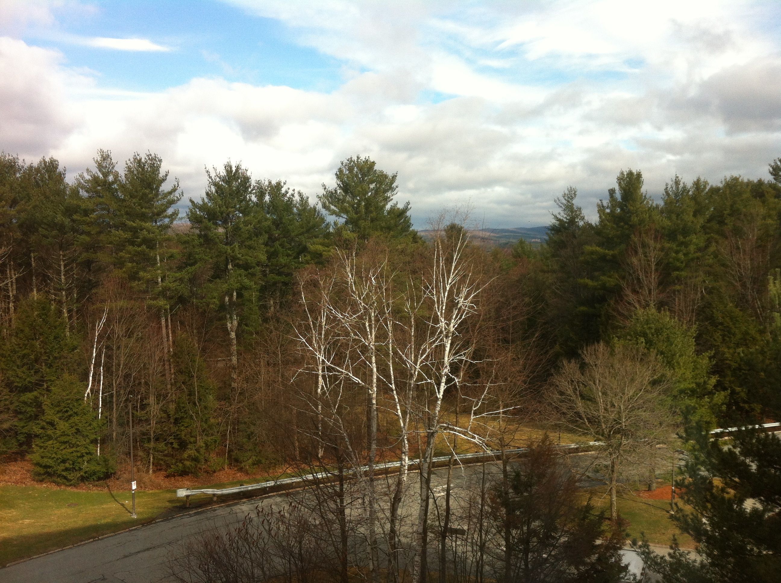 The View out my hospital window.