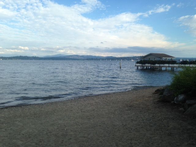 Trying to take a dip in beautiful Lake Washington as often as I can in these next 3 weeks before surgery. Any other swimmers out there?