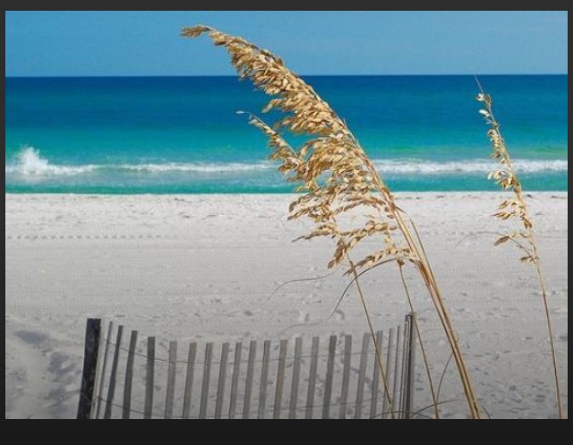 Home; Pensacola Beach.