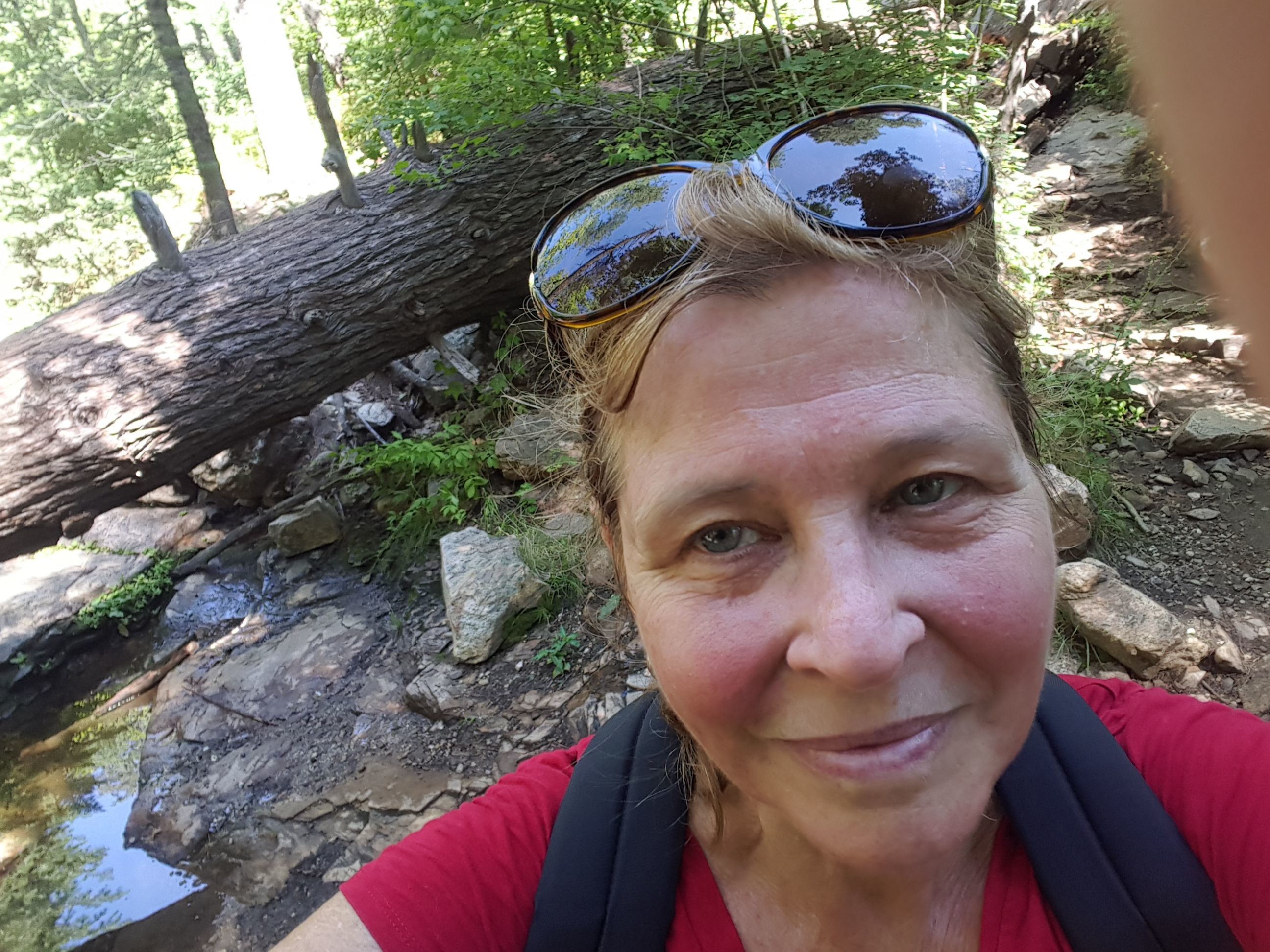 From my recent hike on Mt. Lemmon