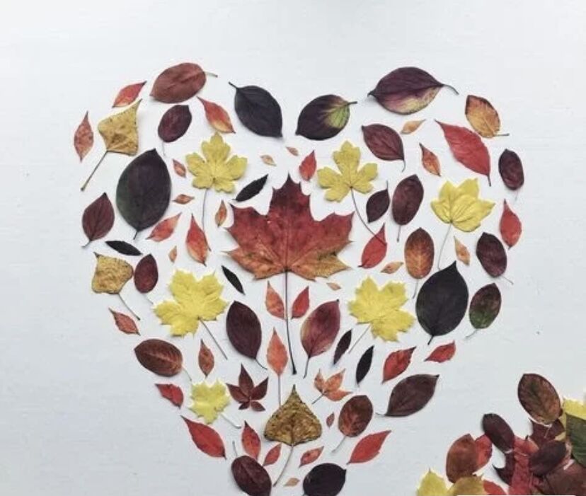Today is World Heart â¤ï¸ Day; a reminder to take charge of your heart health and that of others.