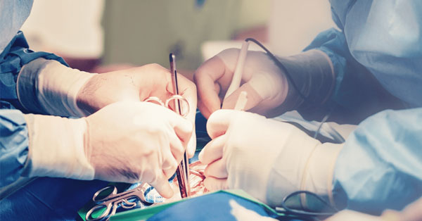Pulmonary Valve Repair